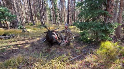 Submission #1 - Colorado Recurve Elk Hunt 2020