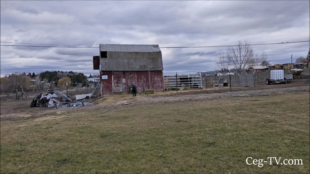 Graham Family Farm: YJ Brakes