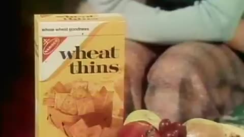 1970s Commercials Volume 1