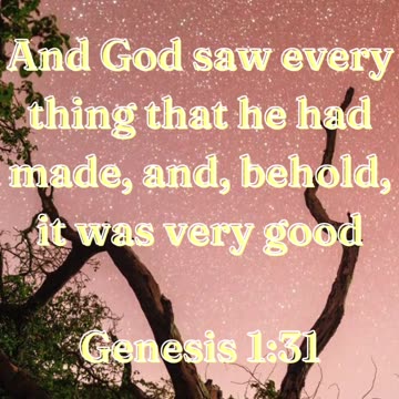 And God saw every thing that he had made, and, behold, it was very good