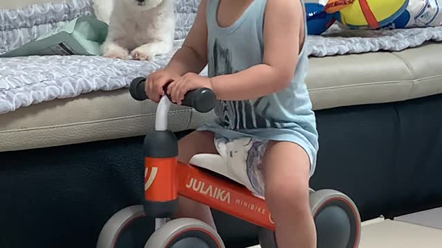 A baby and a puppy.