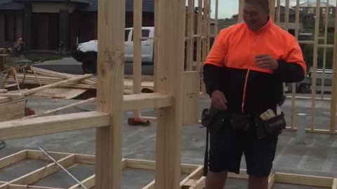 Construction Worker Accepts $20 to Eat a Spider