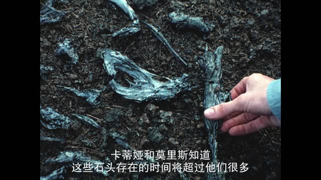 ment of China's curriculum reforms, the form