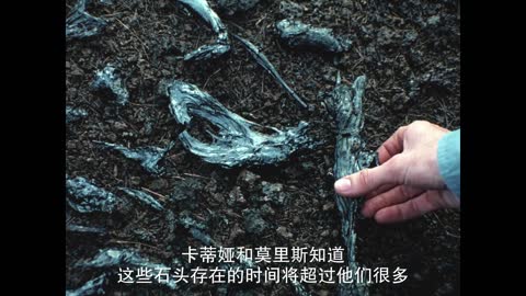 ment of China's curriculum reforms, the form