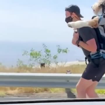 Cruising down the Cali coast with the pupper!.mp4