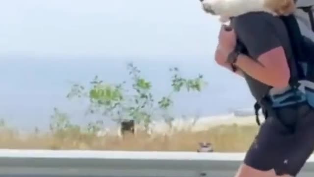 Cruising down the Cali coast with the pupper!.mp4