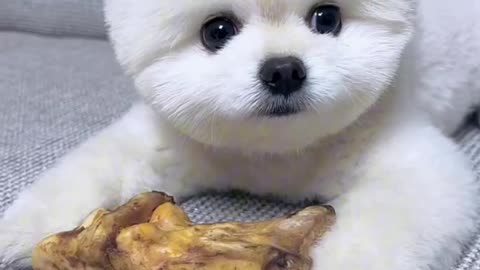 awwww