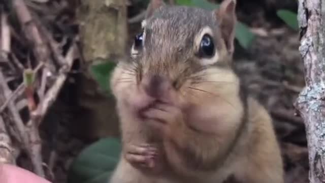 Hershel I’m so happy to share you with the world