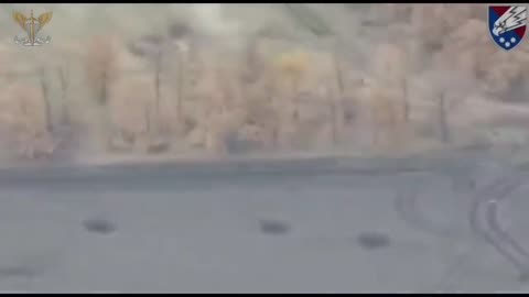 Thanks to clear and coordinated