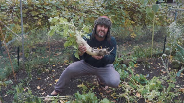 How Did Ya Get Ya Daikon So Dang Big?