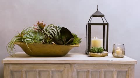 How to Decorate with Faux Succulents