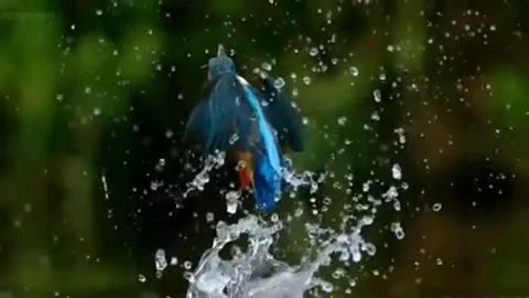 Amezing