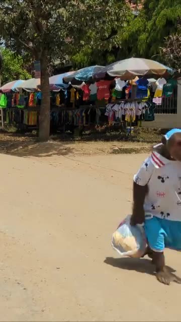 Monkey buys groceries from the market and takes them home