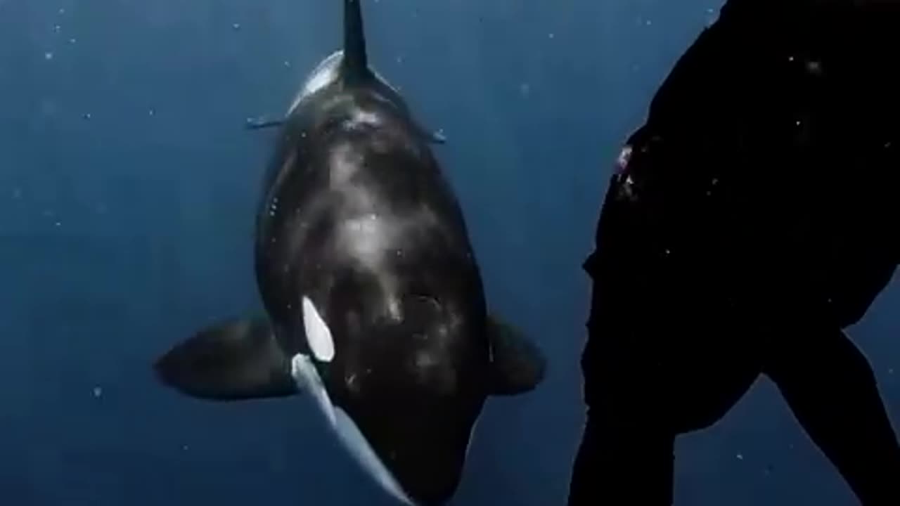 This is beautiful and terrifying at the same time 🧐