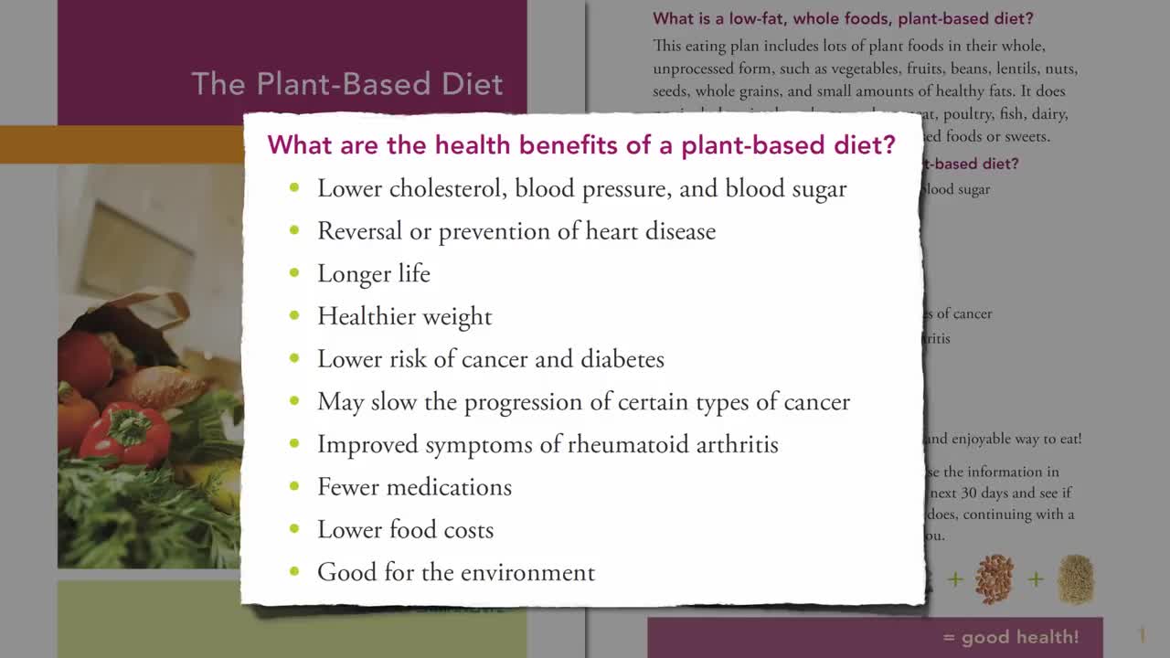 What Kind of Diet does Doctors Recommend?!