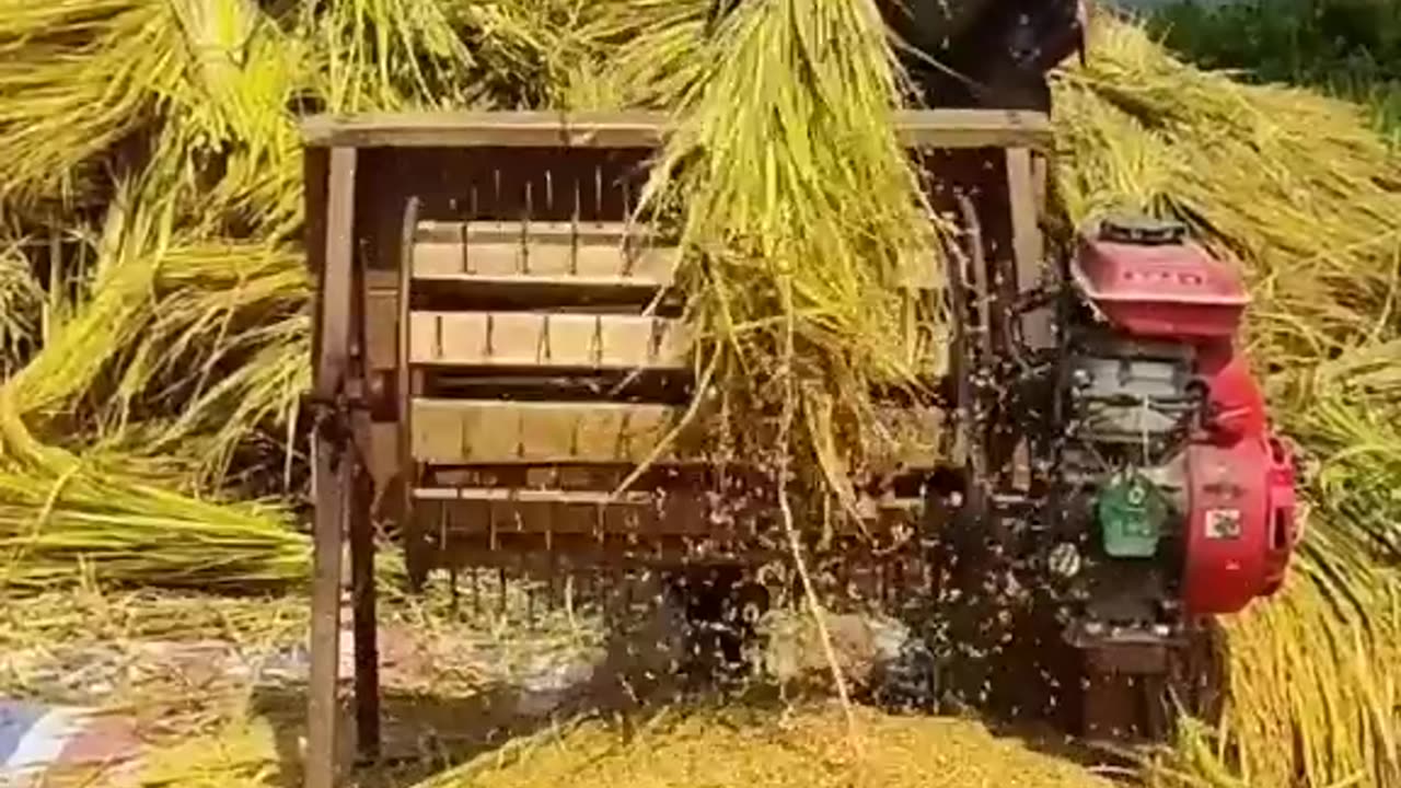 rice separating amazing machine .
