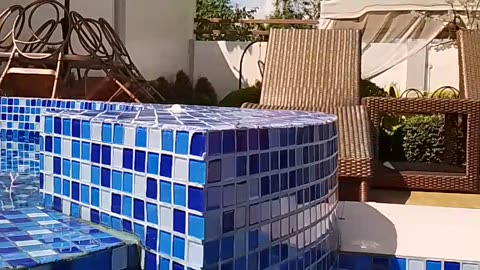 Lets Swim