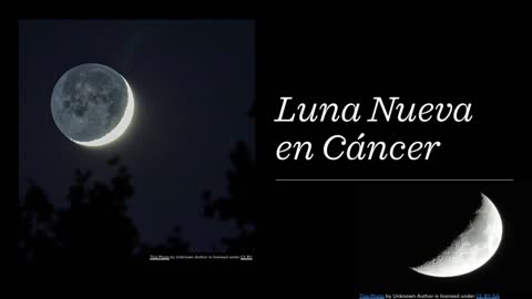 LUNA NUEVA EN CÁNCER|| Tú y tus amados están bien!