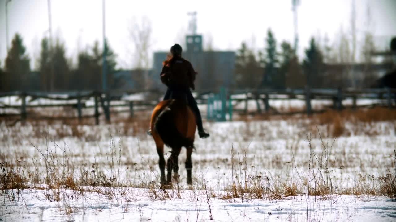 Riding a horse - woman equestrian riding a horse on a snowy field