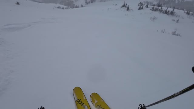 Jan 17 2nd run down MB's