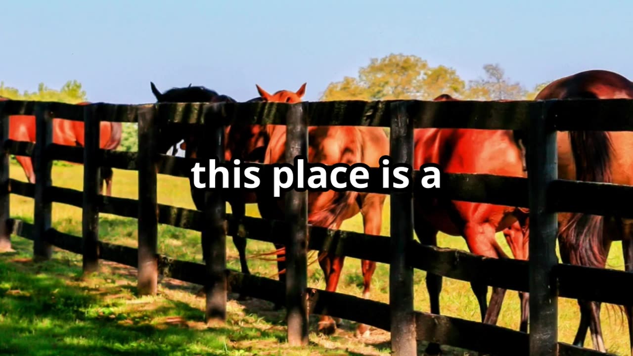 Horse Capital of the World!