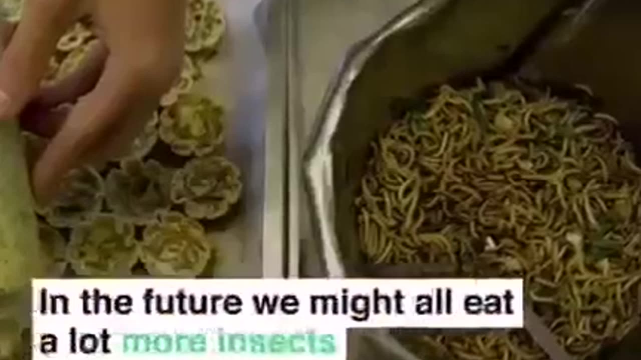 The World Economic Forum (WEF) continues to permanently push its insect-eating message