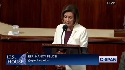 Nancy Pelosi announces she will not seek reelection