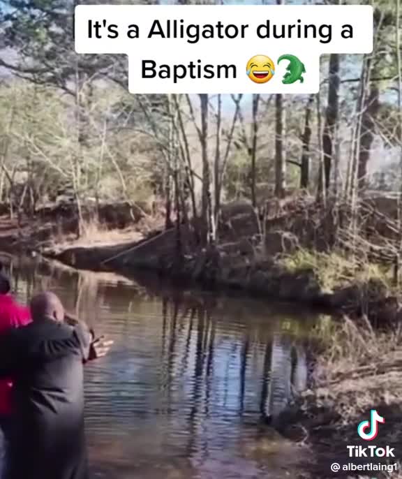 Alligator during baptism.