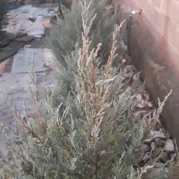 Skalnik in the evening sun