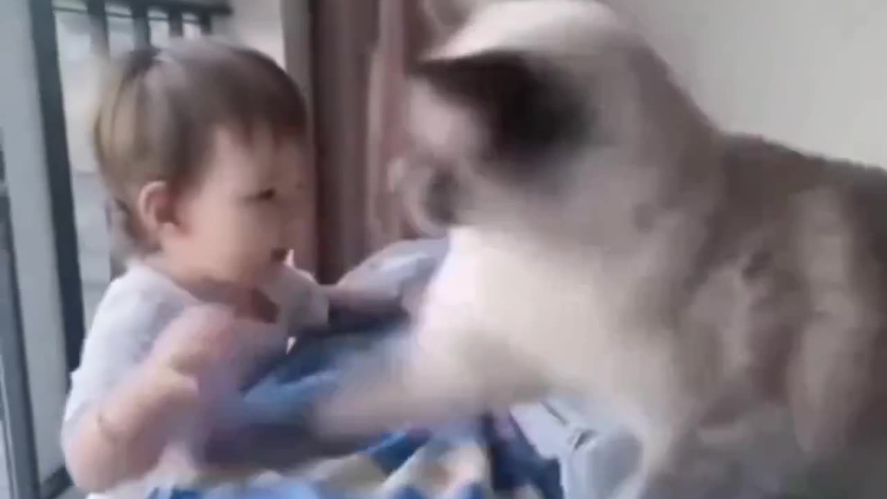 Cat vs kids💯😘🥹🥰