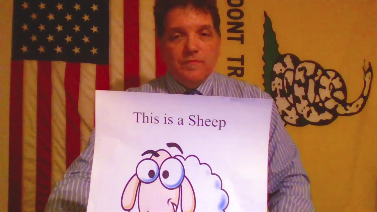 Being An Eagle-A political Satire Series 4 of 5 Sheep: Public School & Dem. Party