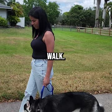 If at First You Don’t Succeed...