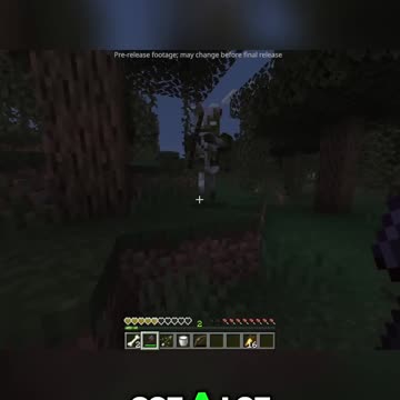 Toxic Romance in Minecraft: Introducing Poisonous Skeletons!