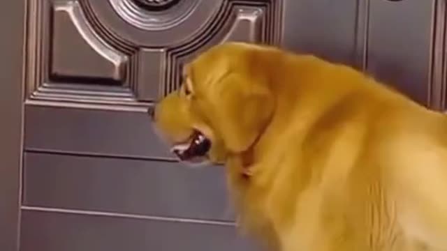 That man is coming. Close the door quickly.