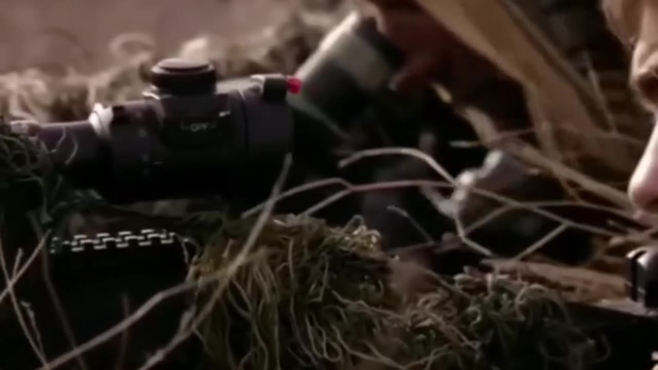 Fully force scene sniper shot