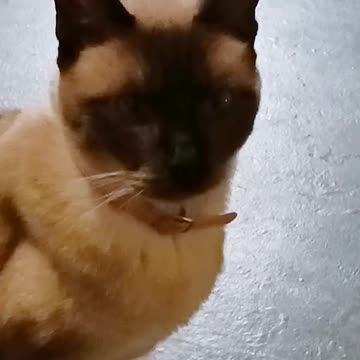 ERNASTINE IS ALWAYS TRYING TO BOSS UP ON LUCKY