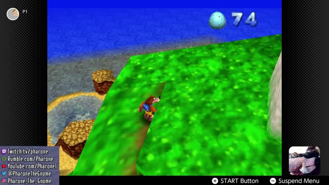 Banjo Kazooie on the Nintendo Switch