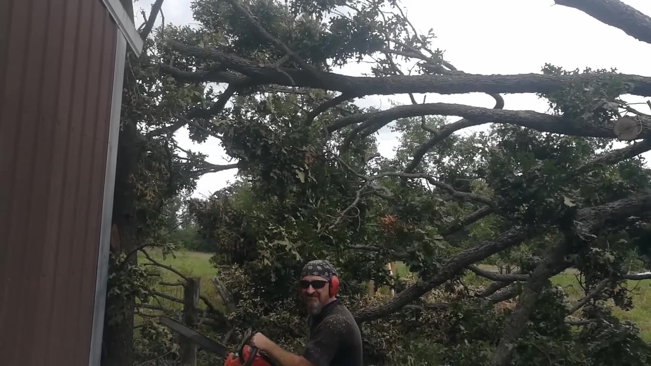 Chainsaw Operator Lift