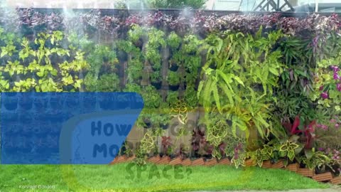 How to grow more vegetables with less space | EcoWall (Vertical Garden)