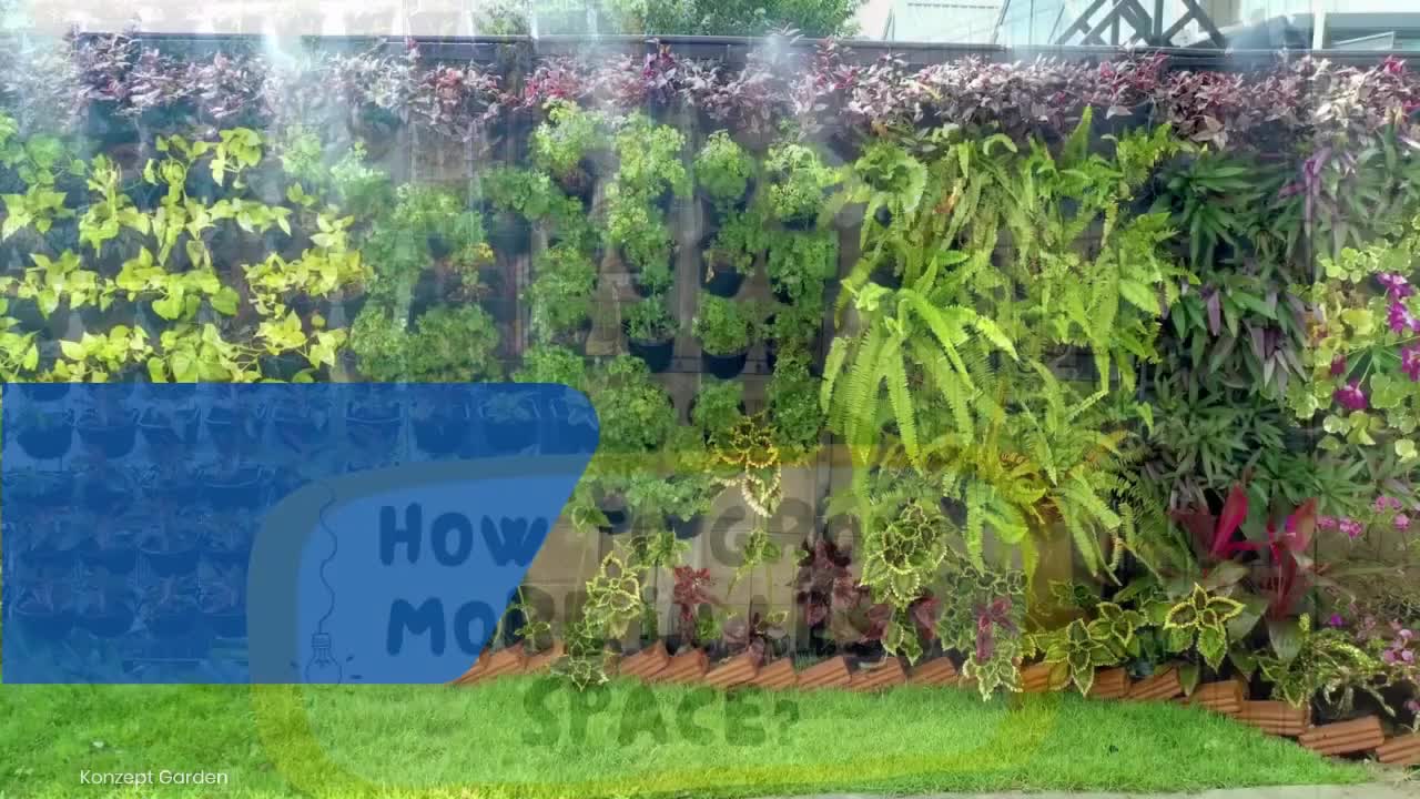 How to grow more vegetables with less space | EcoWall (Vertical Garden)
