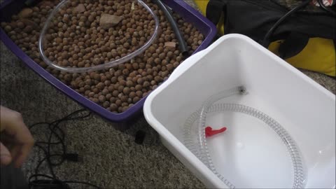 Prepping For Aquaponics