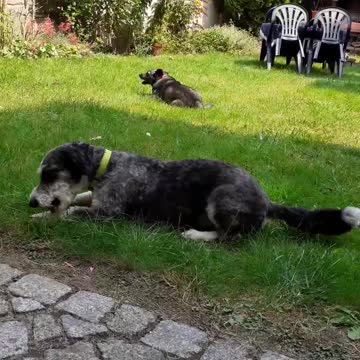 I slept, took a walk, and you can have a snack. Tyapa with Vasya