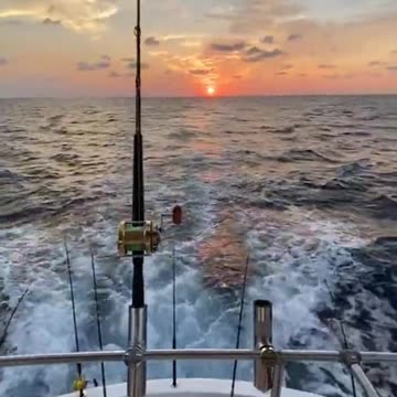 Motor Boating - Fishing the Gulf of Mexico off of Tampa Bay