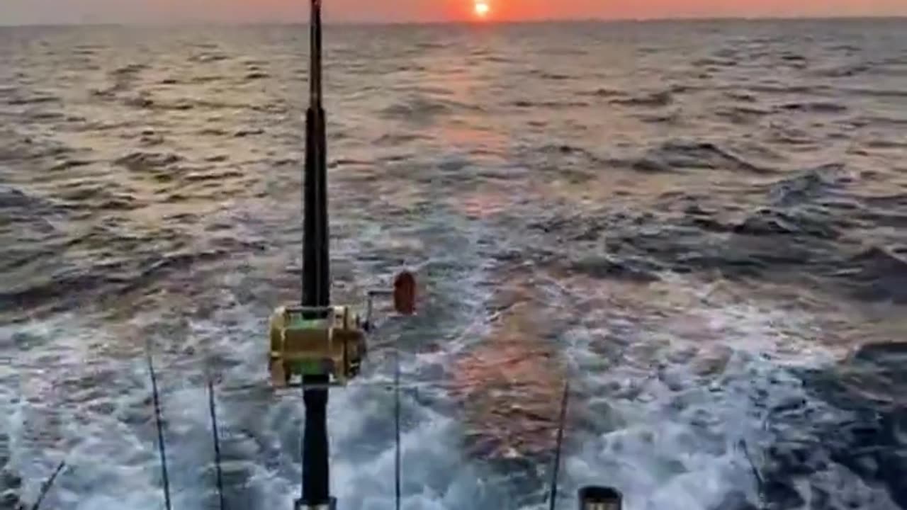 Motor Boating - Fishing the Gulf of Mexico off of Tampa Bay