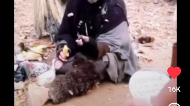 Don't Judge A Book By It's Cover