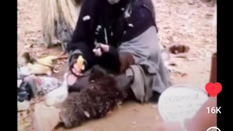 Don't Judge A Book By It's Cover