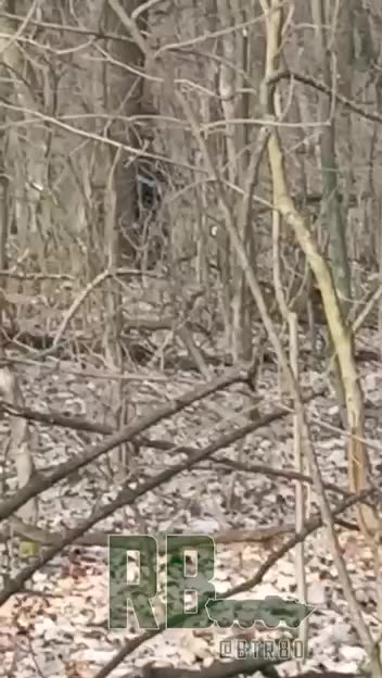 "🅾️tvazhnyh" RF sniper eliminates a target near Kremennaya