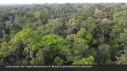 Lula wins Brazil’s presidential election, ousting incumbent Bolsonaro