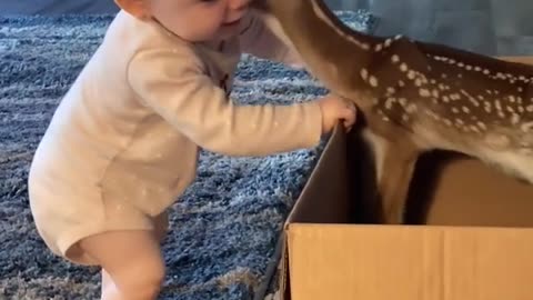 OMG so adorable <3