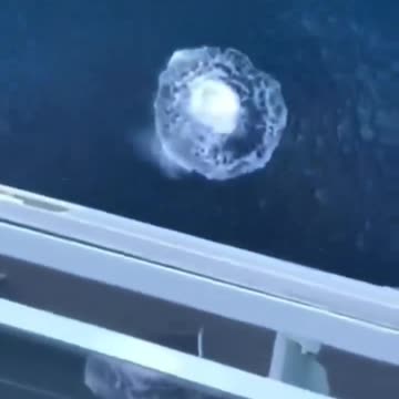 Dude jumps off cruise ship🤯
